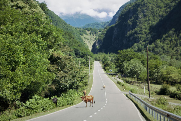 Manera de conducir  no ser georgiana y vivir en Georgia