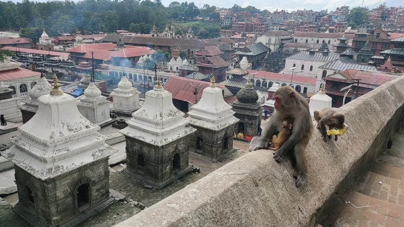 viajar sola e Nepal
