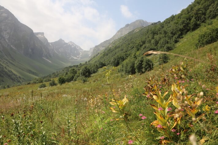 Trekking al lago Udziro. Desde Shovi hasta Glola.