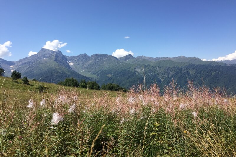 trekking en Caucaso, Racha  Georgia , Udziro, Chiora y bubba Glaciar