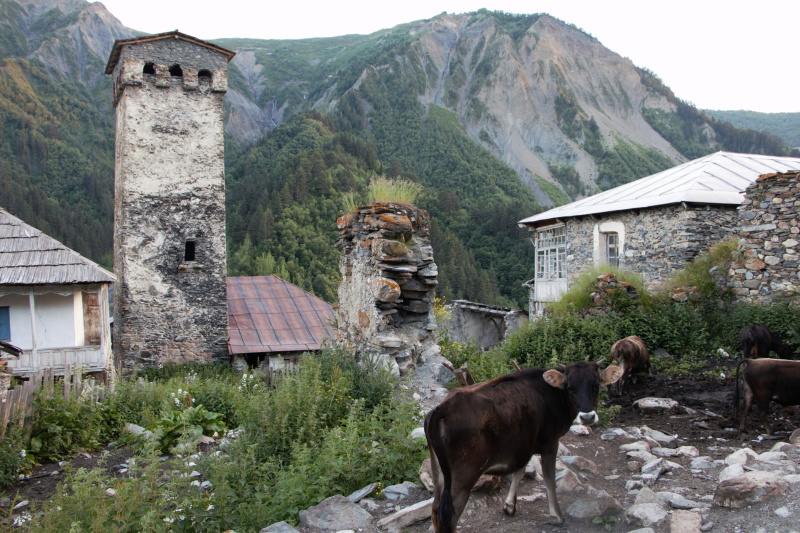 trekking en Georgia, Usghuli, Mestia Svaneti