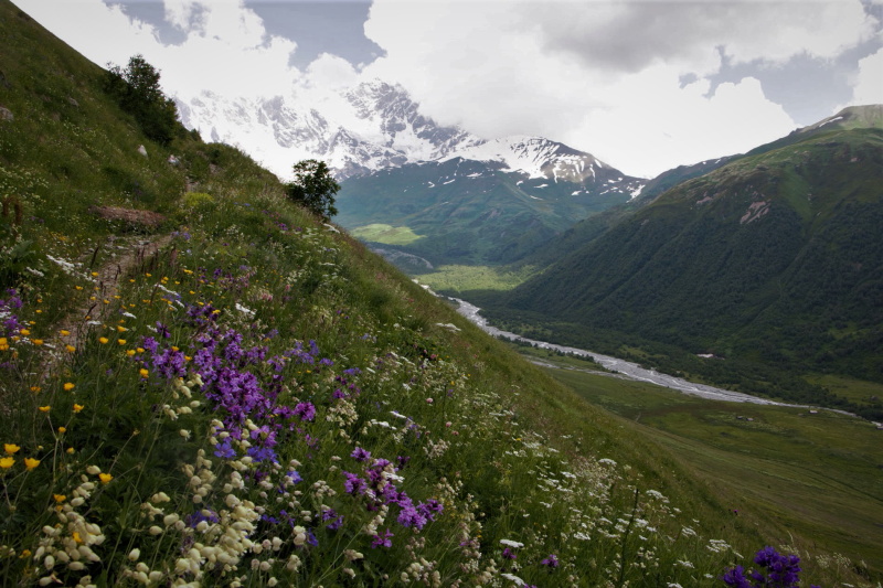 trekking en Georgia, Usghuli, Mestia Svaneti