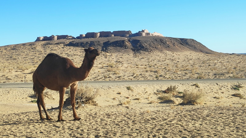 que ver en uzbequistan viaje de tu vida